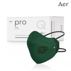 아에르 Pro Q300S (프로 큐) 특급 방진마스크 1BOX (10개입) / 산업용 공사현장 분진 석면 해체 작업용, 아에르 PRO Q300S 특급 방진 (그린), 1개, 10개입