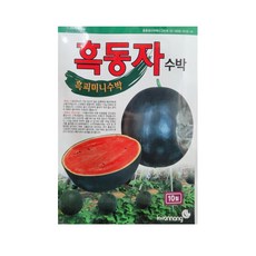애플꿀수박 10립 수박 애플수박 미니수박 씨앗 종자 모종 텃밭 주말농장 KS종묘 그린종묘농약사, 1개
