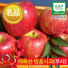 (인빌푸드)미륵산 명품사과(부사) 5kg(17~18과), 단품