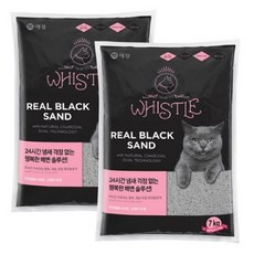 셰퍼벤토타워펜