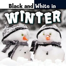 (영문도서) Black and White in Winter Library Binding, Rourke Educational Media, English, 9781634300513