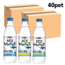 40개 광동 아이스웨일 탄산수 플레인 레몬라임 샤인머스켓 500ml