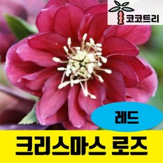 4b8d45ea15c36e1a4c51fc799e79efea961832d067abef46519875d062a6.jpg