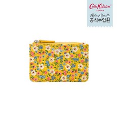 캐스키드슨동전