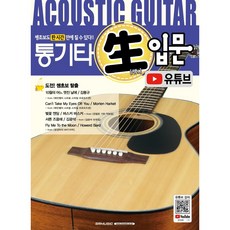 통기타입문반주법