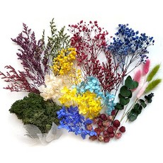 드라이플라워석고