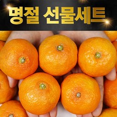귤로장생4키로