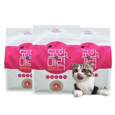 묘한매력