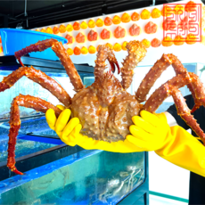 (살아서 도착하는)미자네농수산 러시아 활 킹크랩, 1개, 활 레드 킹크랩 2.5kg내외