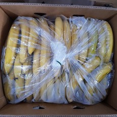 쥬스용 고당도 낱발 바나나 13kg, 1개