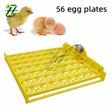 56154 계란 인큐베이터 회전 트레이 가금류 인큐베이터 장비 220V 110V 인큐베이터 트레이 계란 인큐베이터 자동, 3) 154 110V, 1개