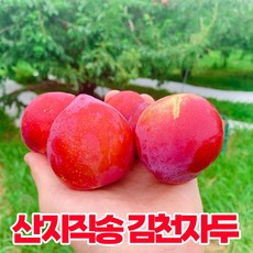 삼시세끼연구소 새콤달콤 햇 대석자두 김천 후무사 자두 생자두 중과 대과 특대 특대과 예약 2kg 3kg 3키로 5키로 5kg, 1개