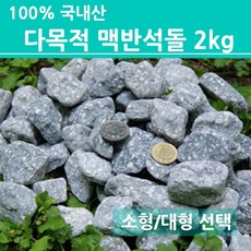 어항고구마