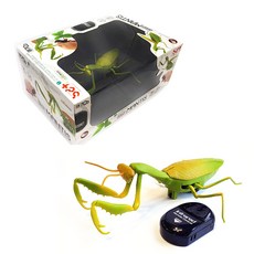 무선조종사마귀