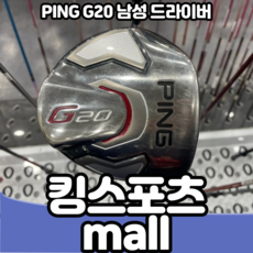 핑g20