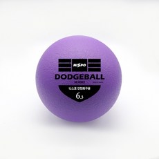 니스포 NEW 피구공 6.3인치 돗지볼 닷지볼 dodgeball