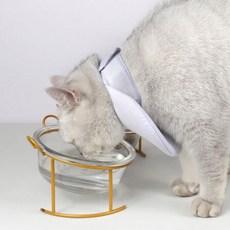 샬라라 반려동물 넥카라 고양이 강아지 목카라 중성화 수술 목보호 쿠션 깔대기, 04넥카라XL, 1개
