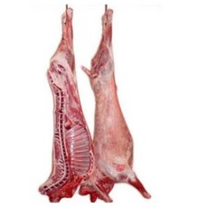 [행복미트] 호주산 껍데기없는 염소 고기 절단 지육 (고기+뼈) 8kg내외 Halal Goat Meat [당일발송]