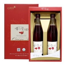 문경 레드인업 오미자청 선물세트 (500ml x 2병) 오미자 엑기스 음료, 2병, 500ml