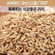 대양쌀귀리