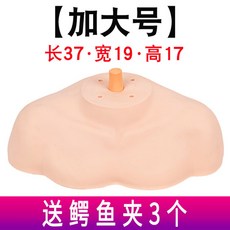 실물느낌 마네킹스탠드 미용실어깨 미용사 이용사 실기재료 미용실 헤어 실기 연습 악어집게 세트 바버샵 어깨홀더 연습용 가발 어깨 숄더, 개, 숄더백 [특대형] + 악어 클립 3 개