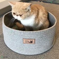 먼치킨바스켓