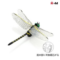 자석잠자리