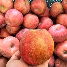 쭈팜 경북 꿀사과 부사 가정용 겨울사과, 1개, 10kg (중대과-40과내외)