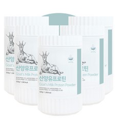 리치래쉬앰플내돈내산