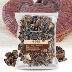 100% 국산 절단 영지버섯 영지버섯차, 4개, 500g