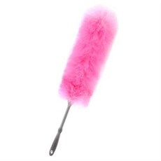 아스토니쉬먼지털이