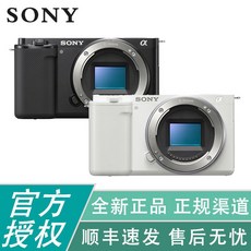 sonyzv-e10