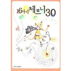 16마디체르니