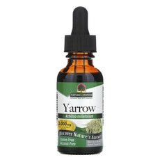 네이쳐스앤서 야로우 Yarrow 2000mg 30ml 톱풀 효능, 1개