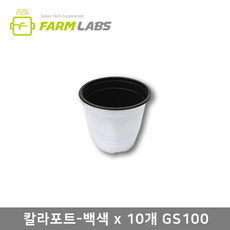 6a8cc5933b513dbabe1034bb46e9222c046c93ccaf95336140bda9a78f60.png