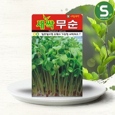 솔림텃밭몰 새싹무순씨앗 30g 무순 새싹채소 씨앗 웰빙새싹, 1개