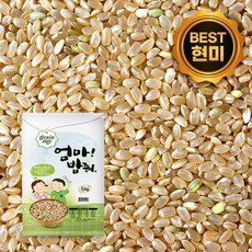 현미 5kg 햅쌀 2021년산 국산 현미쌀 엄마밥줘 진공포장, 1개