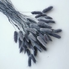 버니테일포푸리