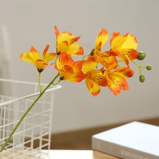 호접란부케