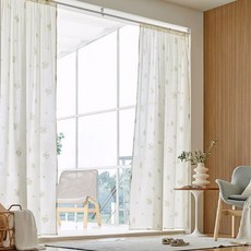 모던하우스그라피크