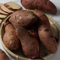 해남 맛장인 밤고구마, 1박스, 5kg 중상