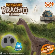 반디브라키오rc