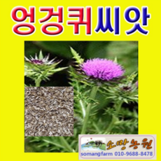 4745a03324714ce0987c71e8ec41a58db3942e386916d324e62d980545d8.png