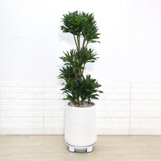 ce835ebecb715145679acb9d017b9400f1219b8d73c1d2ebfc1aa3b3d327.jpg