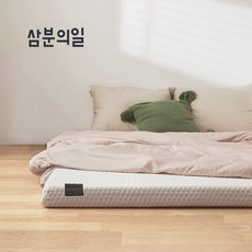 삼분의일이불