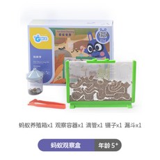 현무암개미굴