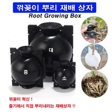 농사야 꺾꽂이뿌리재배상자(중형) 꺾꽂이상자 뿌리내리기상자
