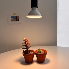 히포팜텍