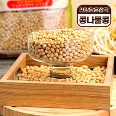 콩나물콩 600g 무농약 친환경 콩나물 기르기 맛있는 콩, 1개