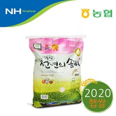 [푸토리] 2020년 햅쌀 / 부안농협 천년의솜씨 신동진쌀 20kg / 당일도정, 단품